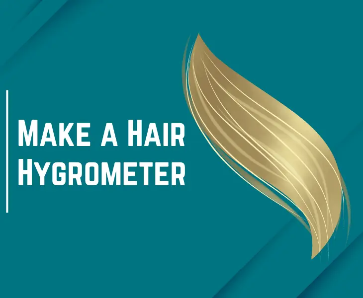 make a hair hygrometer
