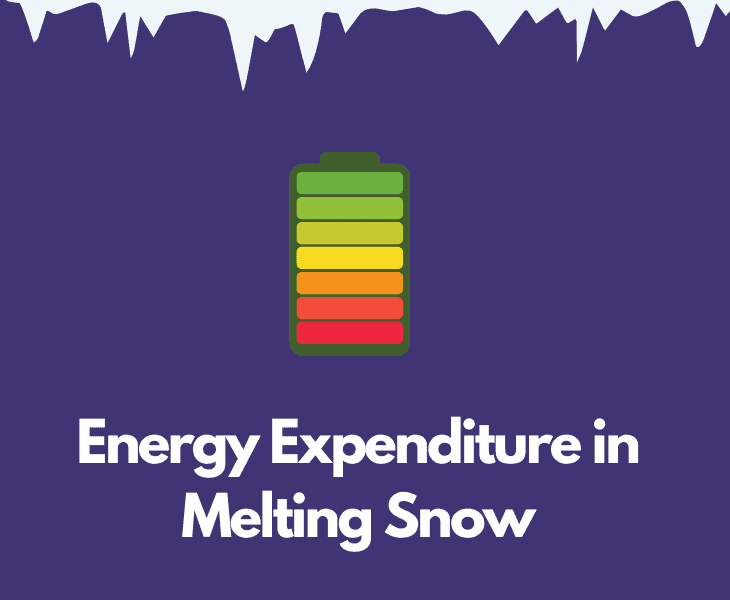 energy expenditure in melting snow