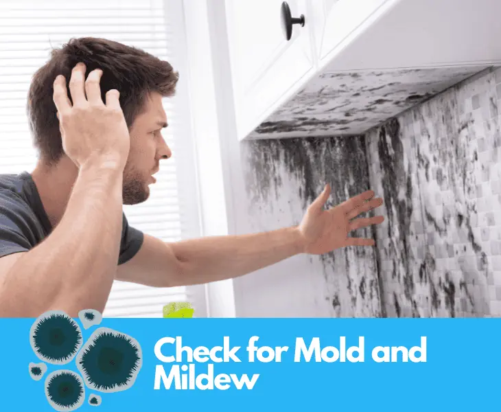 check for mold and mildew