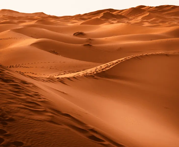 wind deposits material in new places