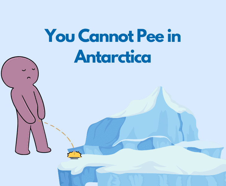 you cannot pee in antarctica