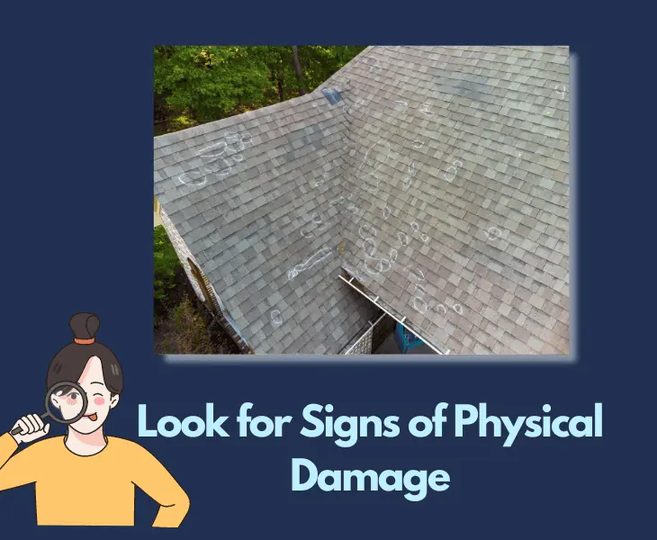 look for signs of physical damage
