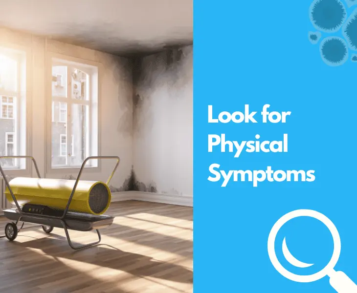 look for physical symptoms