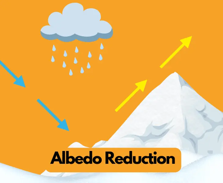 albedo reduction