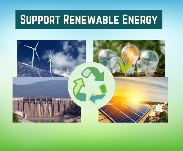 support renewable energy