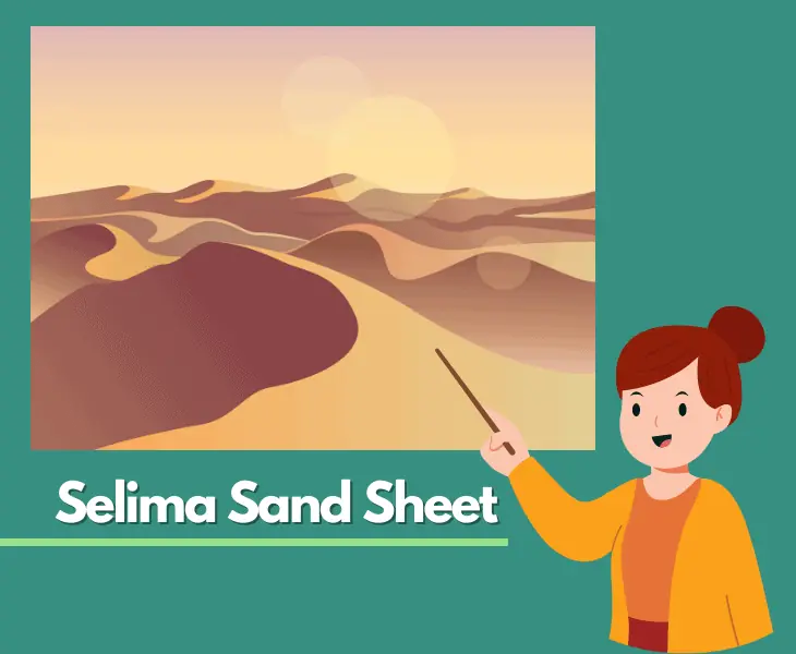 example to consider like salima sand sheet