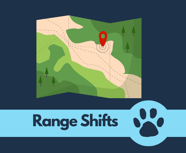 range shifts