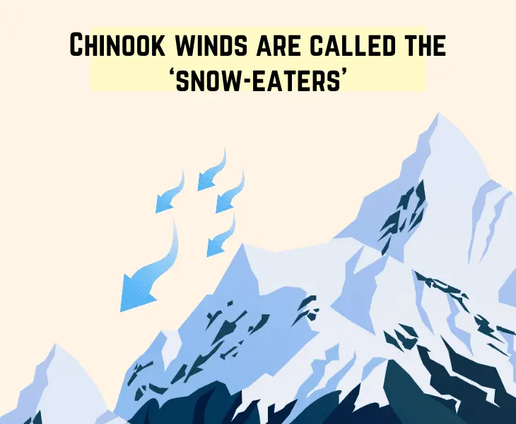 chinook winds are called the snow-eaters