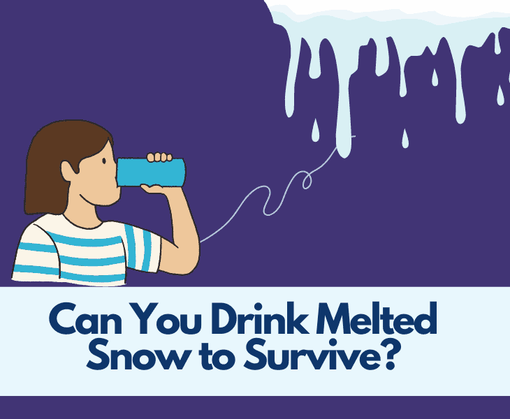 can you drink melted snow to survive