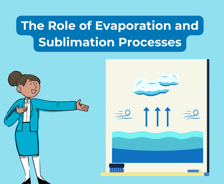role of evaporation and sublimation processes