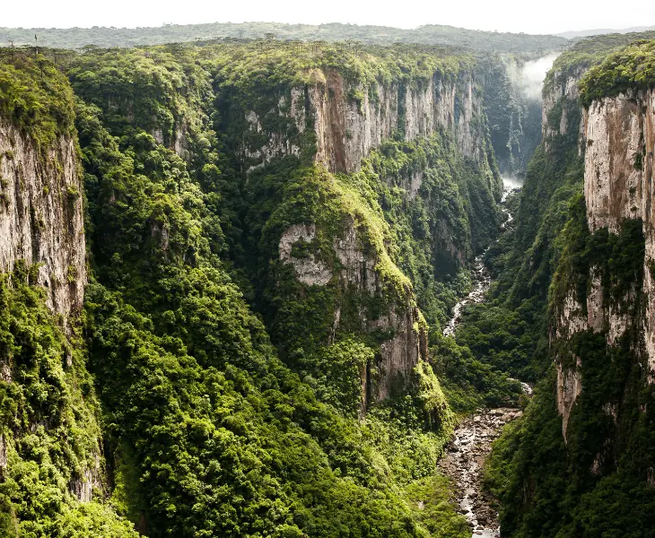 humid subtropical climate causes