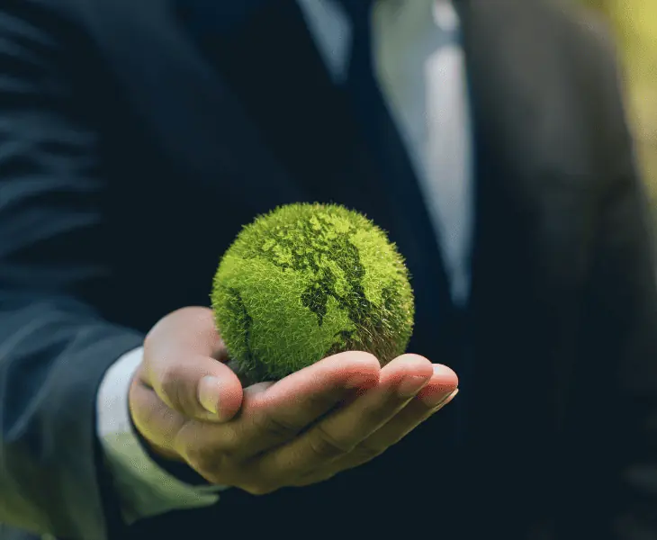 the role of government in sustainable energy