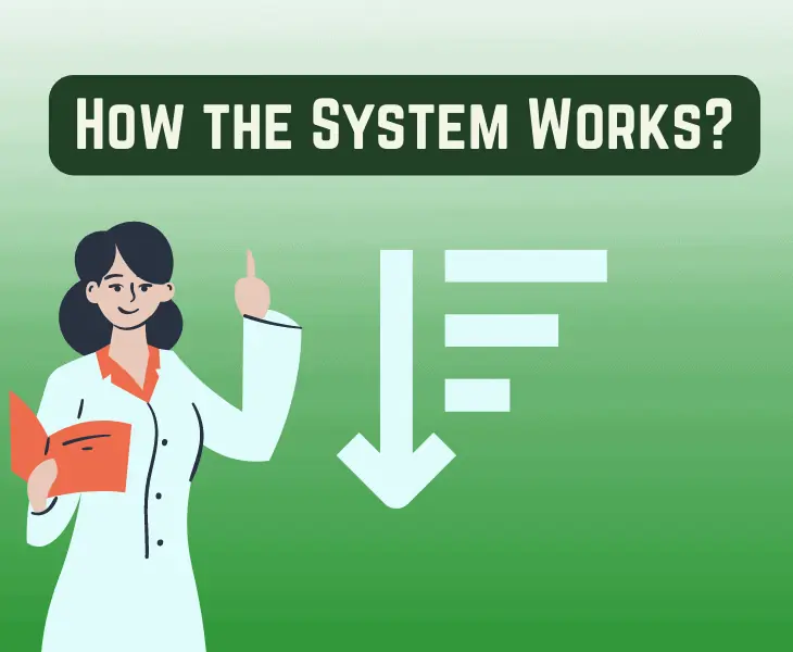 how the system works