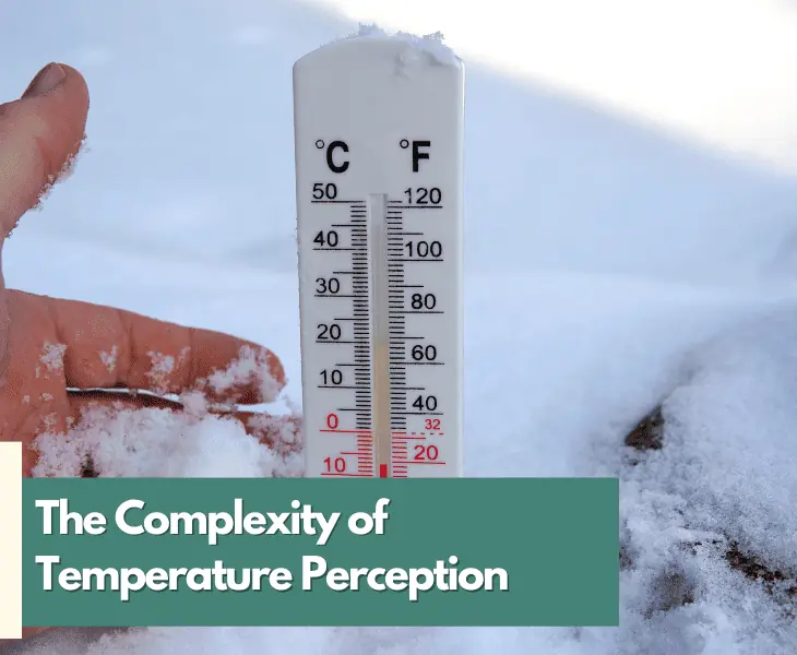 the complexity of temperature perception