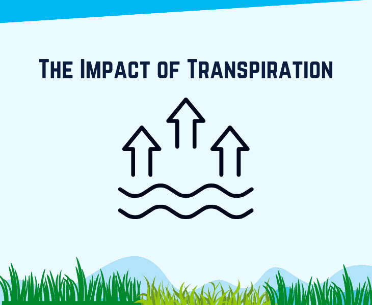 the impact of transpiration
