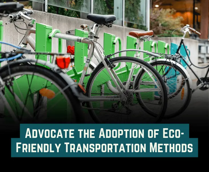 eco-friendly transportation advocacy