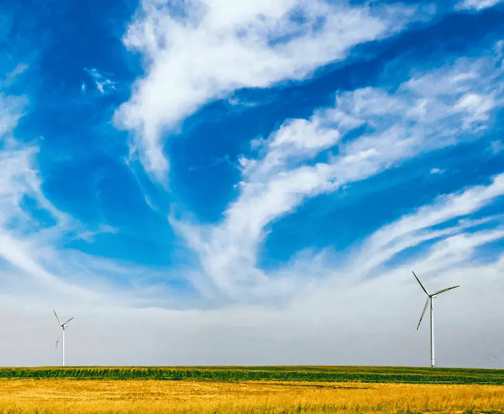wind's impact on earth's surface