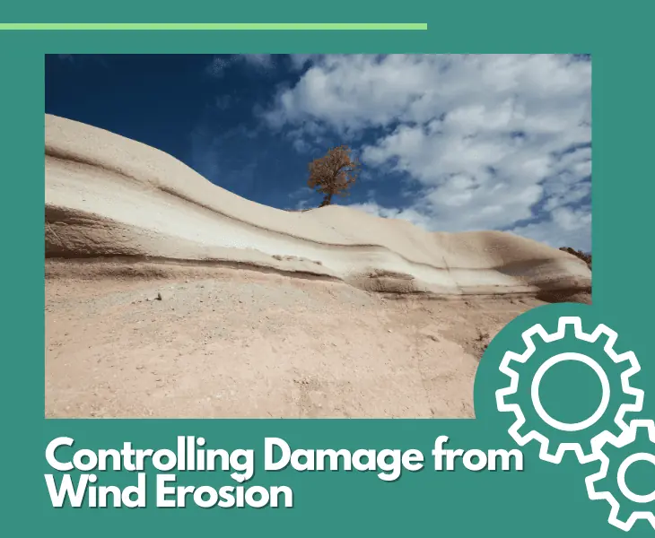 controlling damage from wind erosion