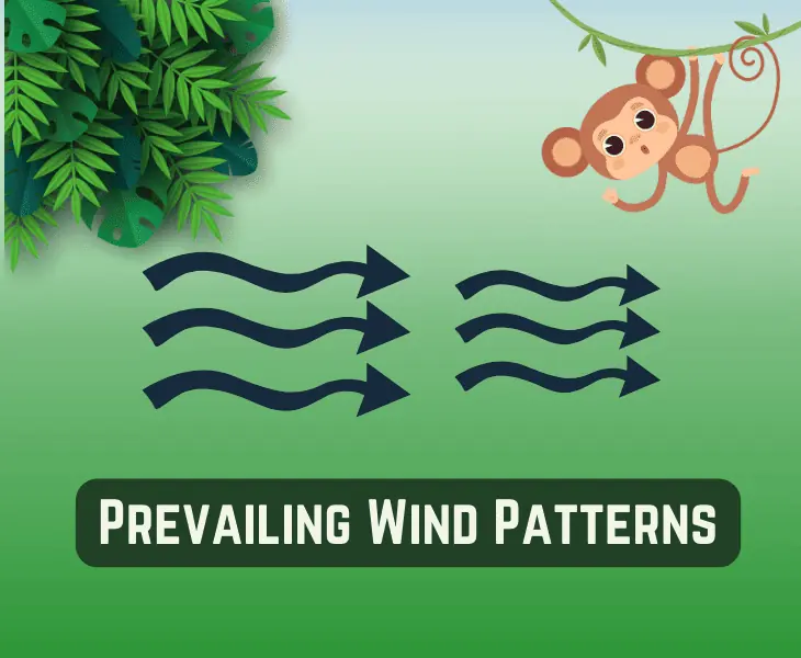 prevailing wind patterns