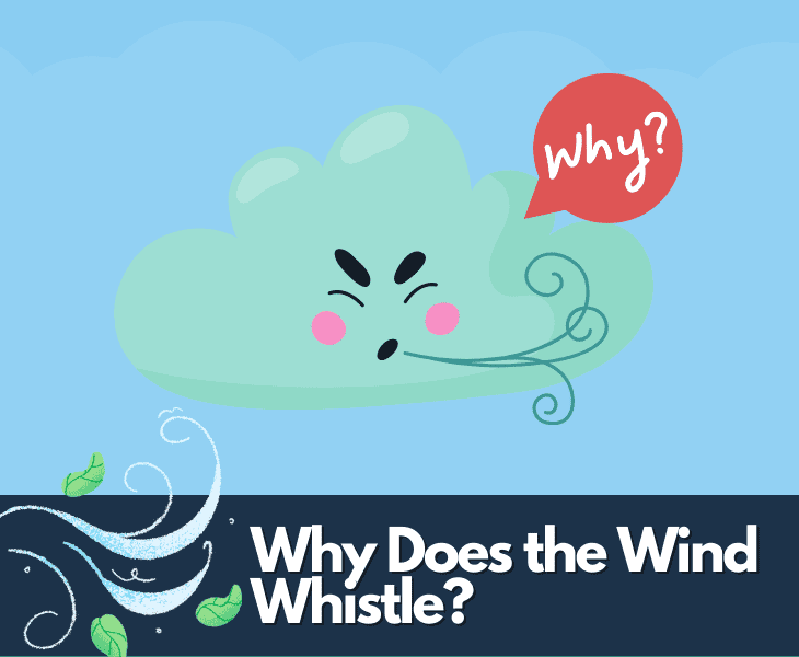 why does the wind whistle