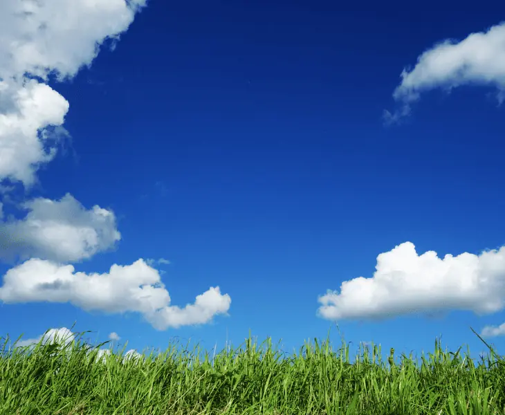 what causes the whistling sound of wind