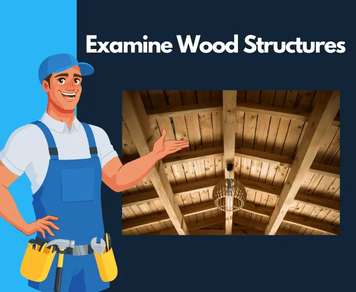 examine wood structures