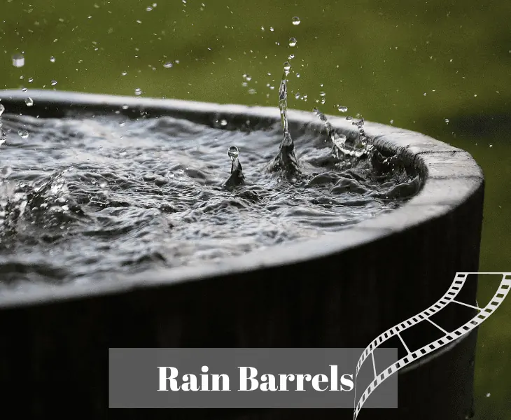 using rain barrels