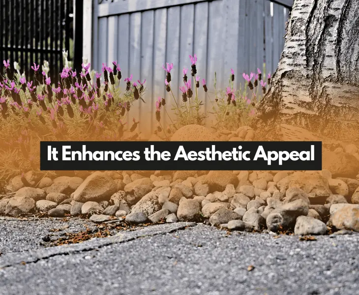 it enhances the aesthetic appeal