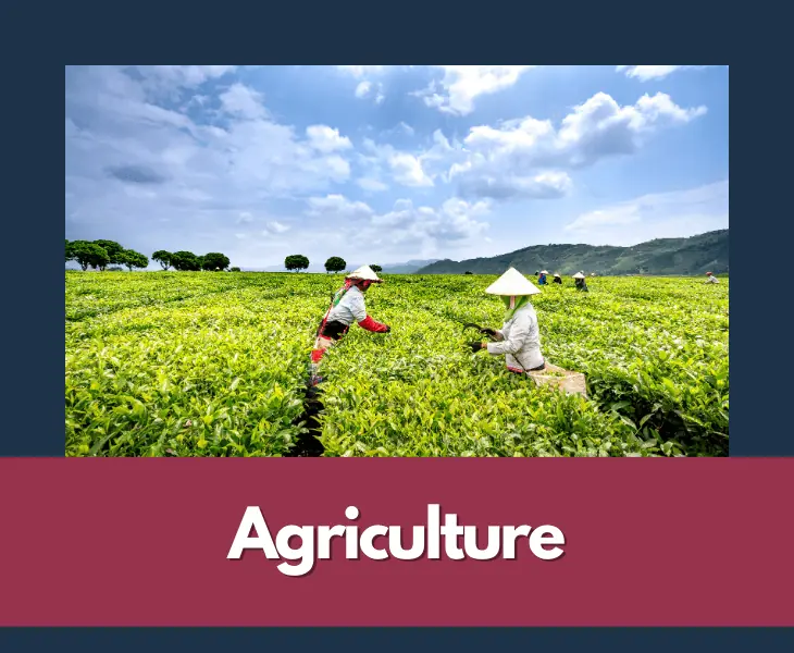agriculture