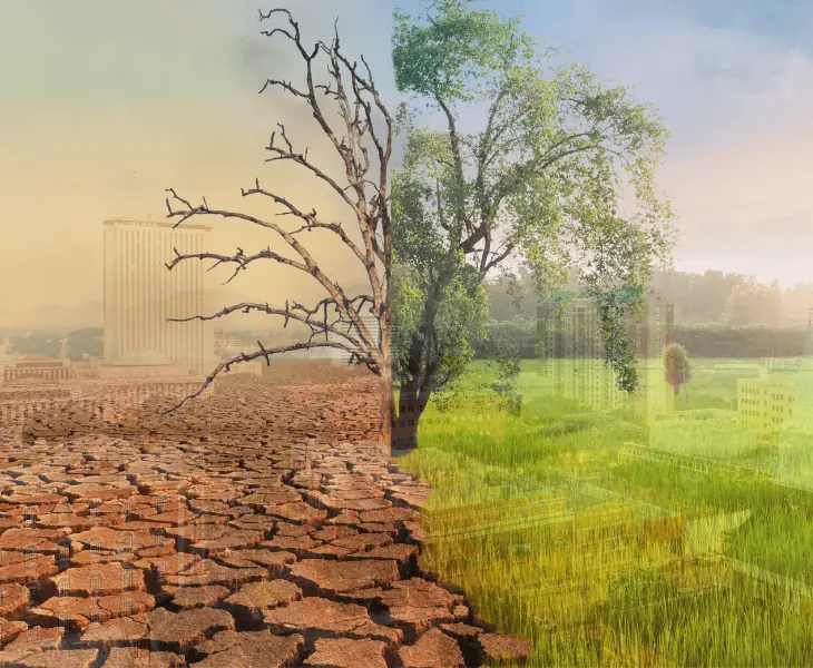 climate change in tallahassee