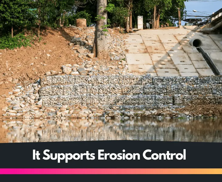 it supports erosion control
