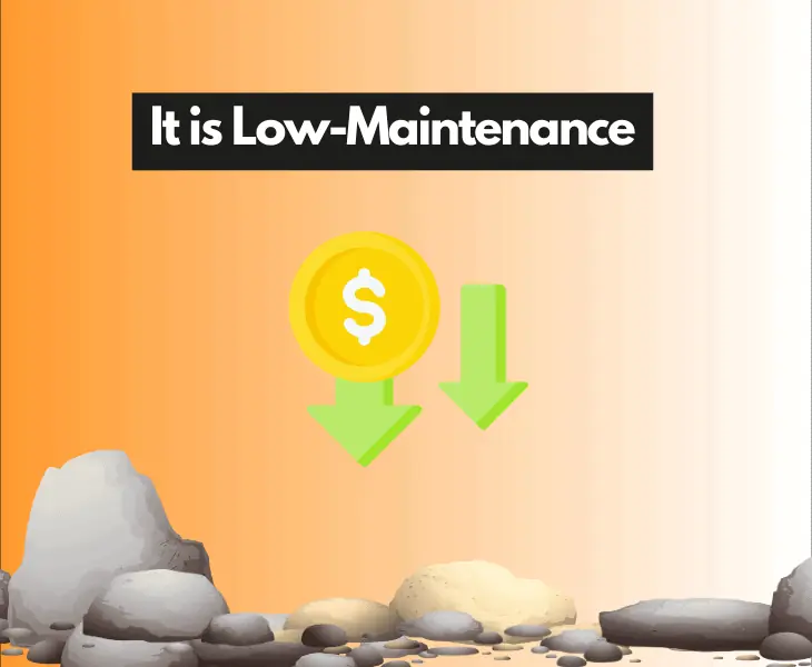 it is low-maintenance