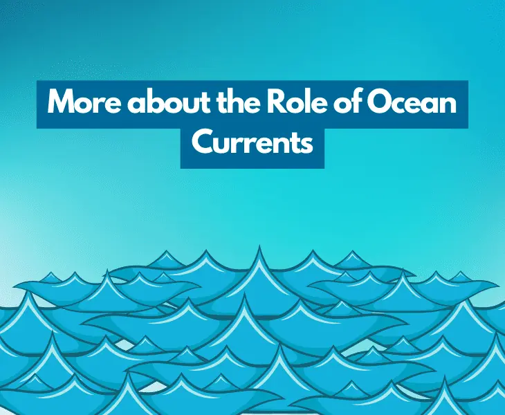 more about the role of ocean currents