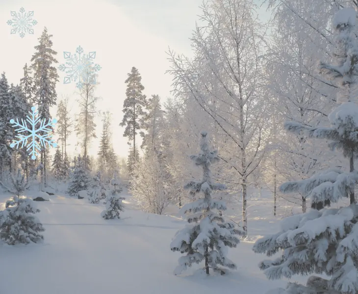 persistent weather patterns on winters]