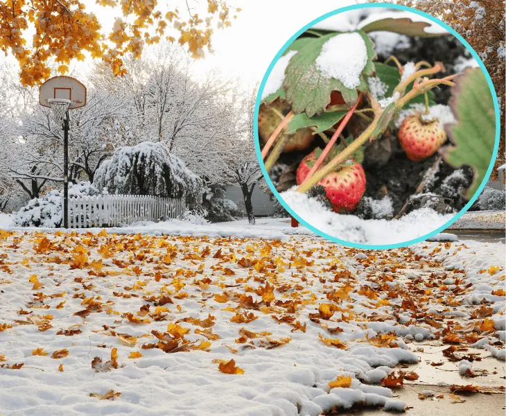 impacting climate change on spring snow