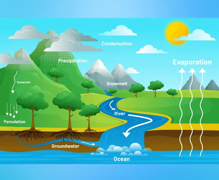 understand the process of evaporation