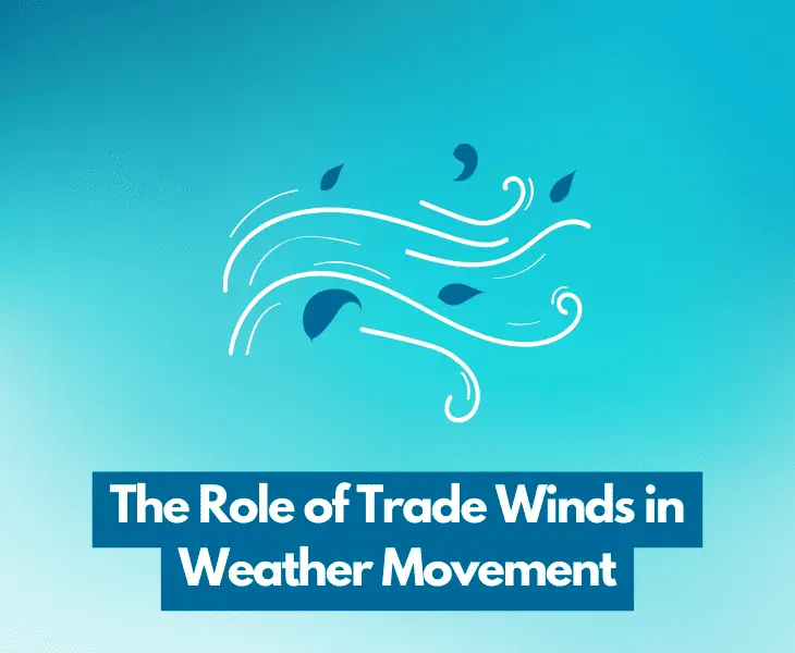 role of trade winds in weather movement