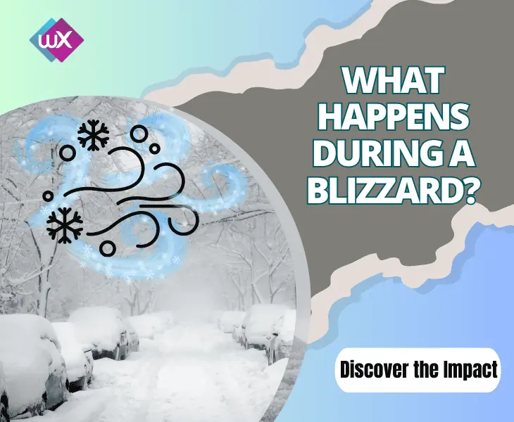 what happens during a blizzard