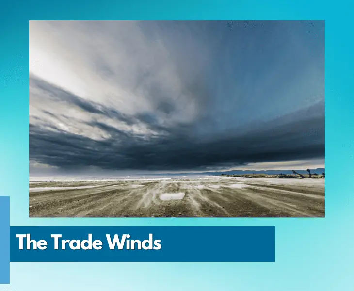 the trade winds