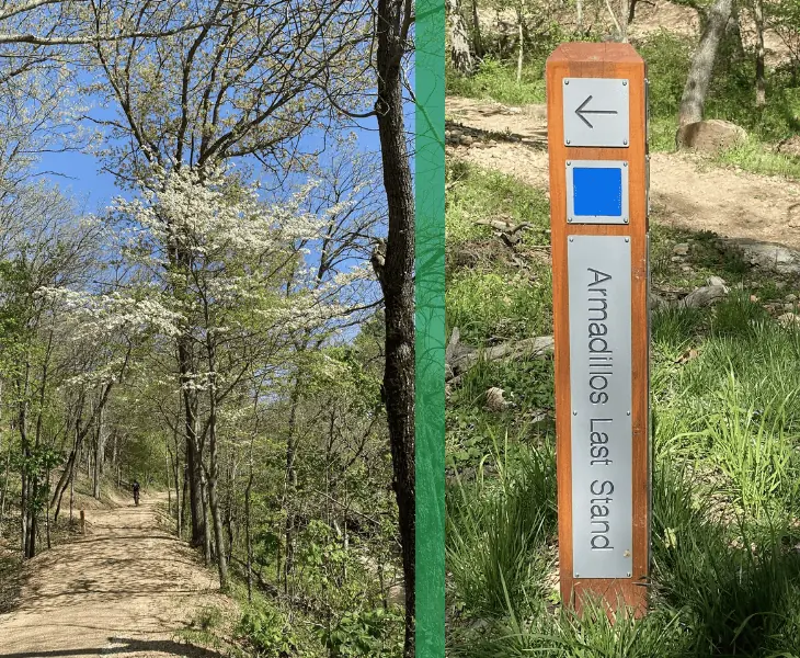 bentonville slaughter pen hollow trail system