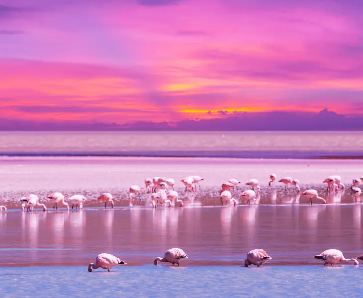 time to visit bolivia