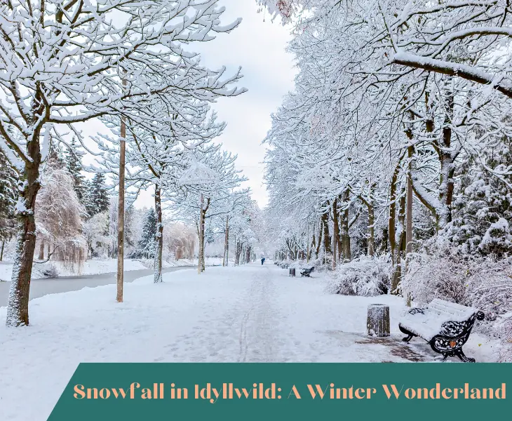 does it snow in idyllwild