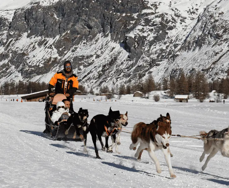 dog sledding in alaska