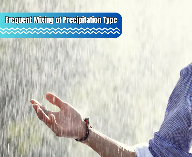 precipitation type