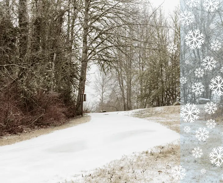 the snow in salem