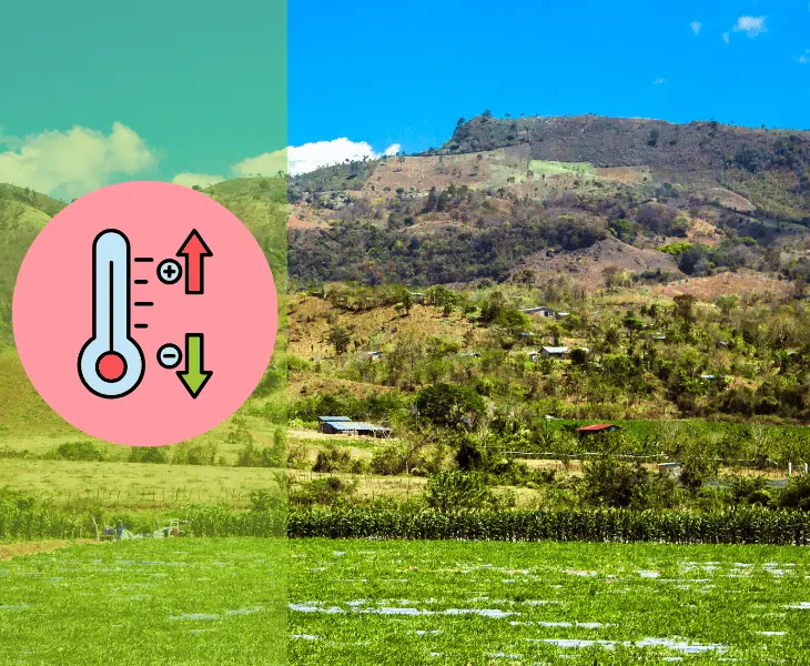 honduras maximum and minimum temperatures