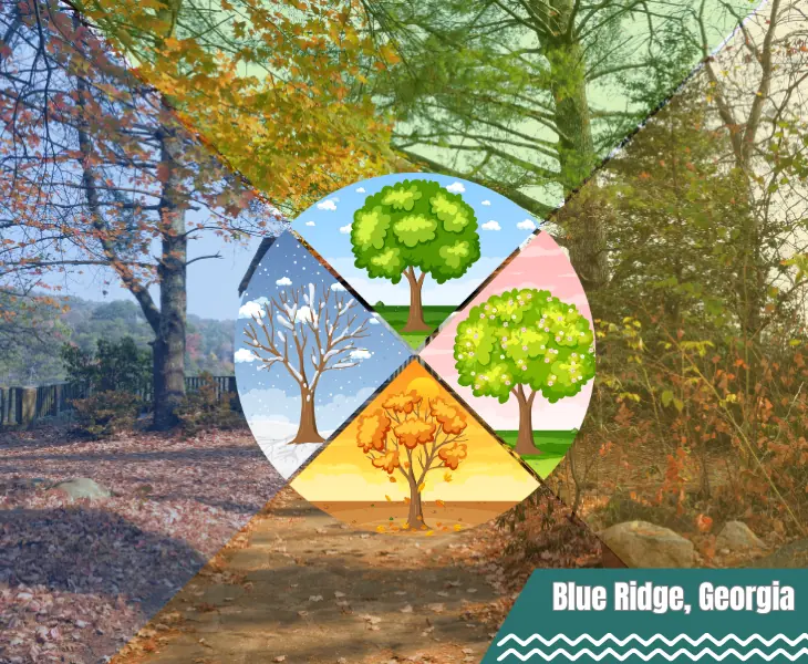 about the climate in blue ridge georgia