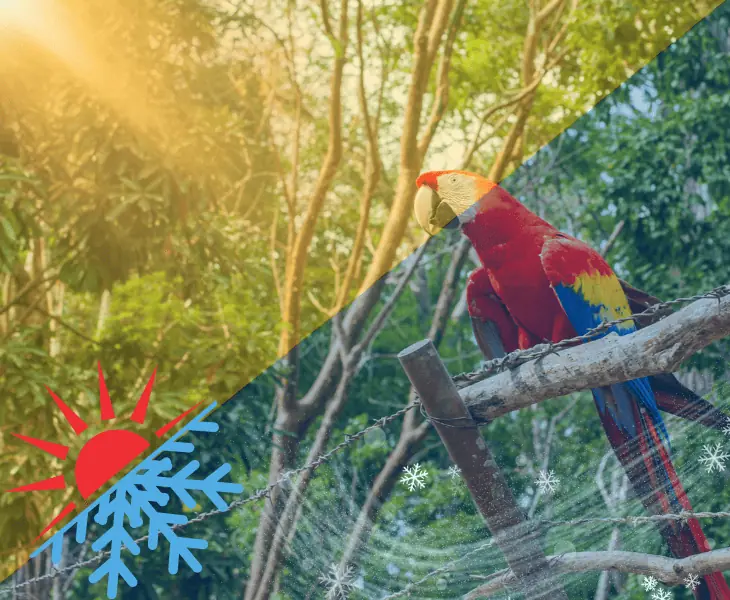 more about the climate in honduras