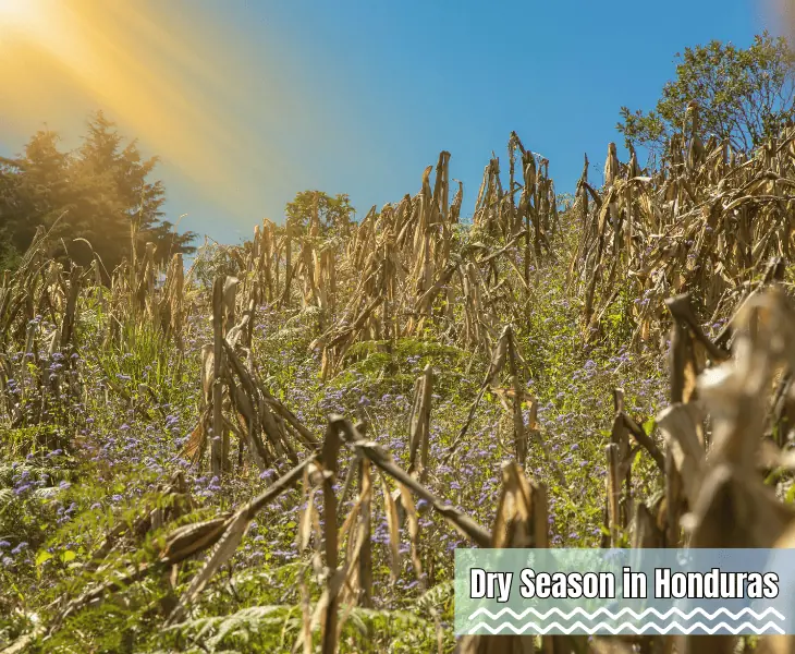 dry season in honduras