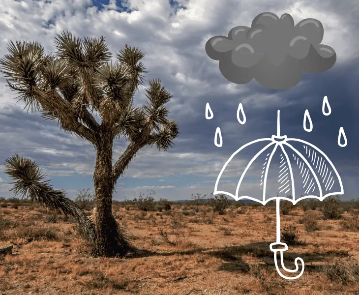 victorville rain shadow effect